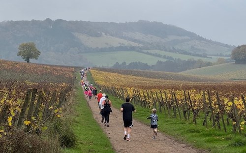 Photo of course at Mole Valley parkrun